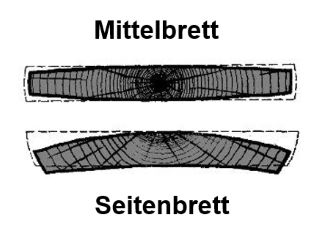 Brett - Holzverformung